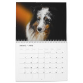 Shetland Sheepdog-Kalender 2025 Kalender (Jan 2026)