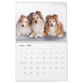 Shetland Sheepdog-Kalender 2025 Kalender (Mär 2027)