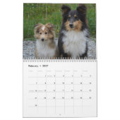 Shetland Sheepdog-Kalender 2025 Kalender (Feb 2027)