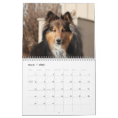 Shetland Sheepdog-Kalender 2025 Kalender (Mär 2026)