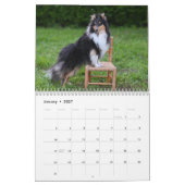 Shetland Sheepdog-Kalender 2025 Kalender (Jan 2027)