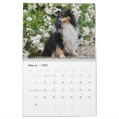 Shetland Sheepdog-Kalender 2025 Kalender (Feb 2027)
