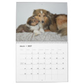 Shetland Sheepdog-Kalender 2025 Kalender (Mär 2027)