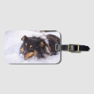 Shetland Sheepdog Laying In Snow Gepäckanhänger
