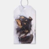 Shetland Sheepdog Laying In Snow Geschenkanhänger (Vorderseite)