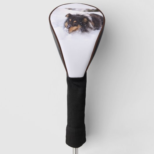 Shetland Sheepdog Laying In Snow Golf Headcover (Vorderseite)