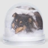 Shetland Sheepdog Laying In Snow Schneekugeln (Vorderseite)