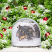 Shetland Sheepdog Laying In Snow Schneekugeln (Weihnachten)