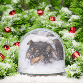 Shetland Sheepdog Laying In Snow Schneekugeln