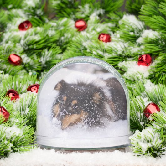 Shetland Sheepdog Laying In Snow Schneekugeln (Weihnachten)