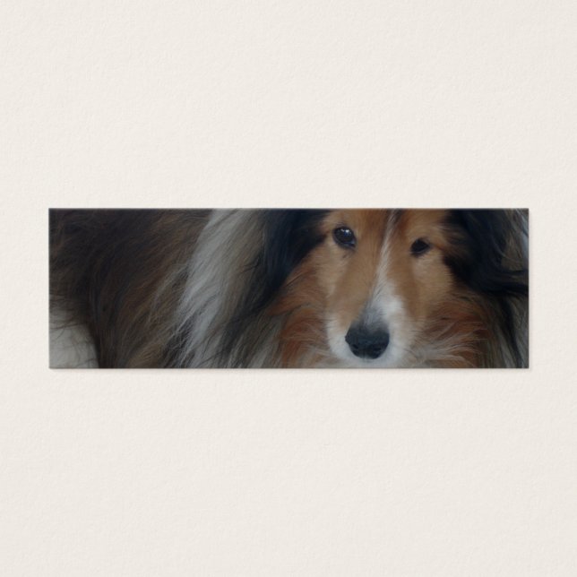 Shetland Sheepdog Lesezeichen (Vorderseite)