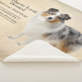 Shetland Sheepdog Loyalty and Quiet Devotion Sherpadecke (3/4)