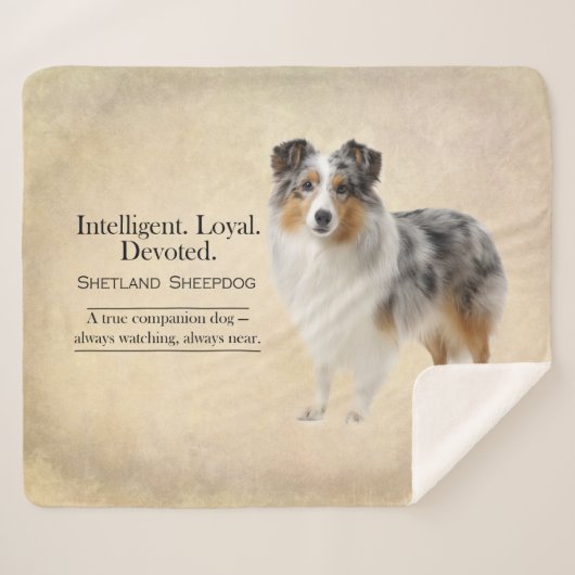 Shetland Sheepdog Loyalty and Quiet Devotion Sherpadecke (Vorderseite (Horizontal))