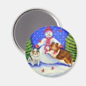 Shetland Sheepdog Magnet (Vorderseite/Rückseite)