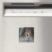 Shetland Sheepdog Magnet (In Situ (Geschirrspüler))
