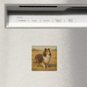 Shetland Sheepdog Magnet (In Situ (Geschirrspüler))