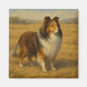 Shetland Sheepdog Magnet (Vorne)
