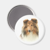 Shetland Sheepdog Magnet (Vorderseite/Rückseite)