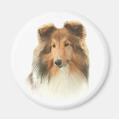 Shetland Sheepdog Magnet (Vorne)