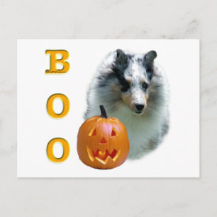Shetland Sheepdog (Merle) Boo Postkarte