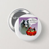 Shetland Sheepdog (Merle) HalloweenCandy Button (Vorne & Hinten)