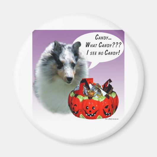 Shetland Sheepdog (Merle) HalloweenCandy Magnet (Vorne)