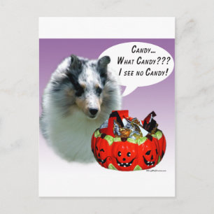 Shetland Sheepdog (Merle) HalloweenCandy Postkarte