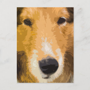 Shetland Sheepdog Nah-up-Postkarte Postkarte