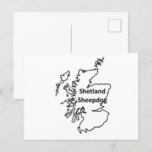 Shetland Sheepdog Name in Origin Postkarte