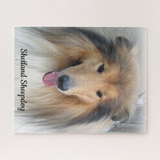 Shetland Sheepdog Portrait Puzzle (Horizontal)