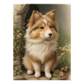 Shetland Sheepdog Poster (Vorderseite)