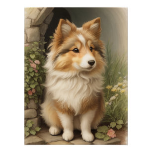 Shetland Sheepdog Poster