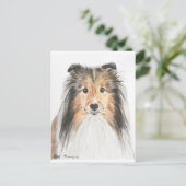 Shetland Sheepdog Postkarte (Stehend Vorderseite)