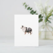 Shetland Sheepdog Postkarte (Stehend Vorderseite)