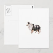 Shetland Sheepdog Postkarte (Vorne/Hinten)