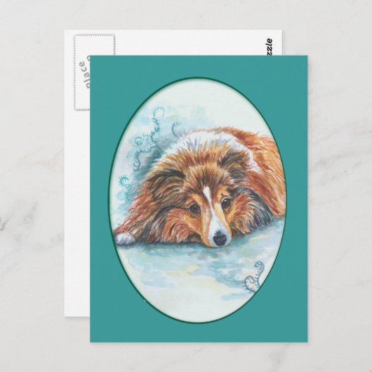 Shetland Sheepdog Postkarten (Vorne/Hinten)