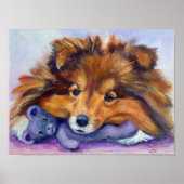 Shetland Sheepdog Print Poster (Vorne)