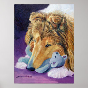 Shetland Sheepdog Print Poster