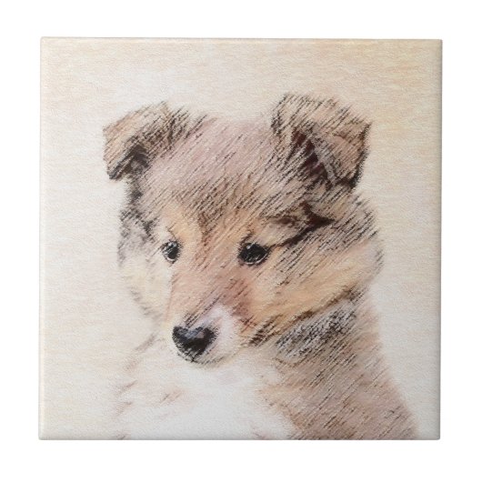 Shetland Sheepdog Puppy Malerei Original Dog Art Fliese (Vorderseite)