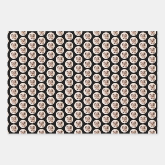 Shetland Sheepdog Puppy Malerei Original Dog Art Geschenkpapier Set (Vorderseite 3)