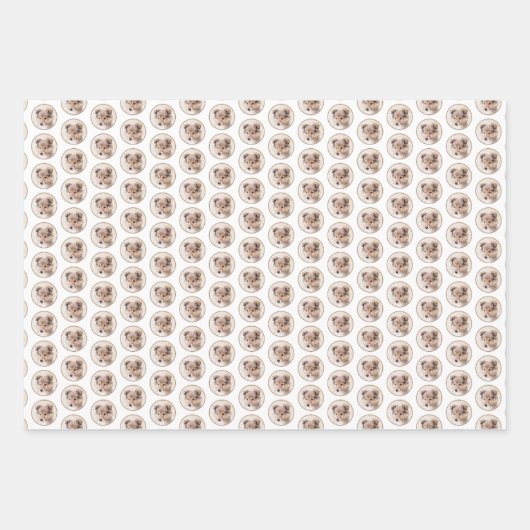 Shetland Sheepdog Puppy Malerei Original Dog Art Geschenkpapier Set (Vorderseite 2)