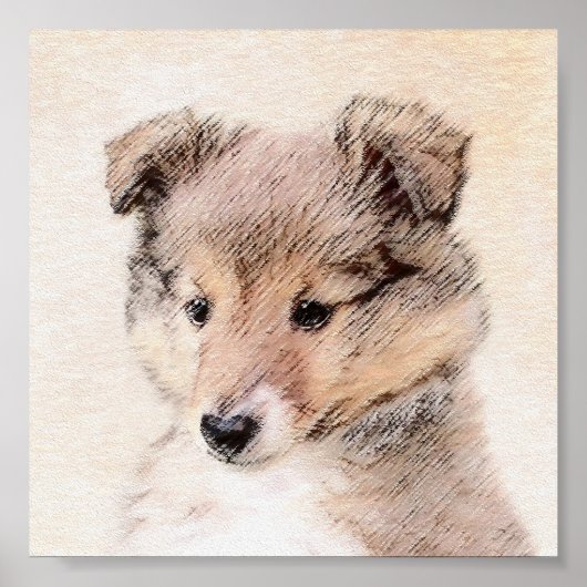 Shetland Sheepdog Puppy Malerei Original Dog Art Poster (Vorne)