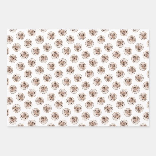 Shetland Sheepdog Puppy Painting Sheltie Dog Art Geschenkpapier Set (Vorderseite 2)