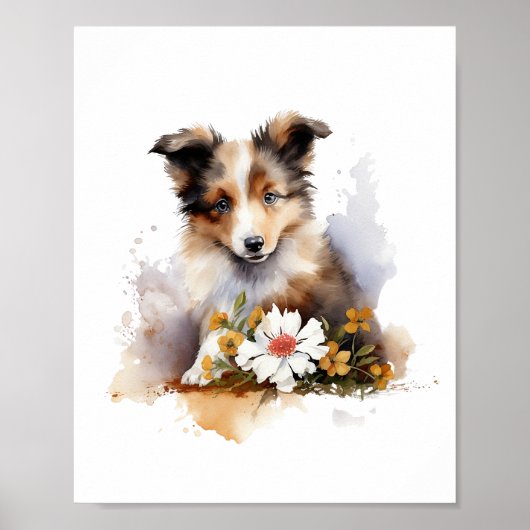 Shetland Sheepdog Puppy Pet Blume Poster (Vorne)