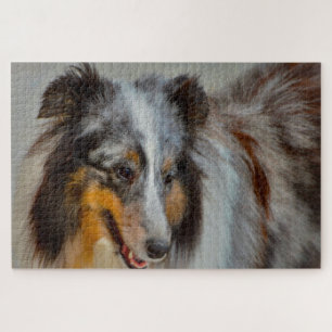 Shetland Sheepdog Puzzle. Puzzle