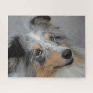 Shetland Sheepdog Puzzle. Puzzle