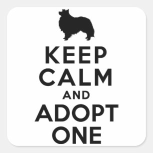 Shetland Sheepdog Quadratischer Aufkleber