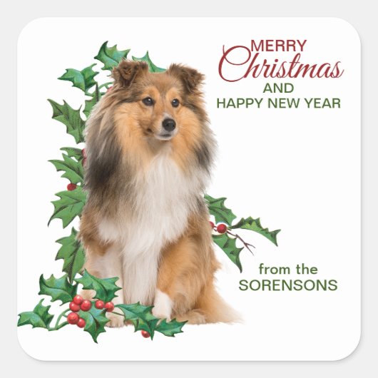 Shetland Sheepdog Red Berry Holly Christmas Quadratischer Aufkleber (Vorderseite)