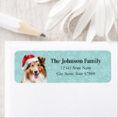 Shetland Sheepdog Rücksendeadressen-Aufkleber (Insitu)