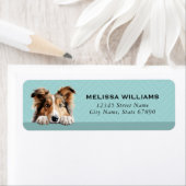 Shetland Sheepdog Rücksendeadressen-Aufkleber (Insitu)